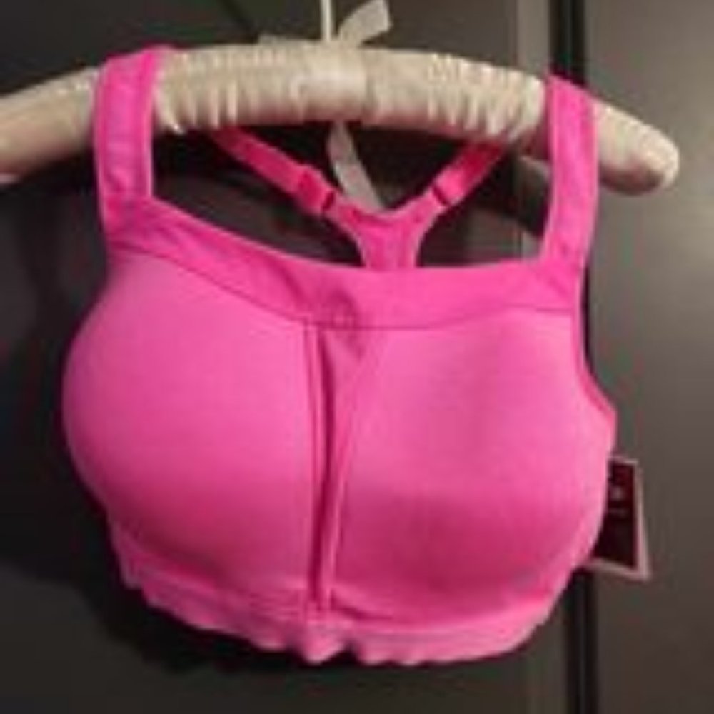 Champion Premium Hot Pink High Support Sports Bra Size 38D